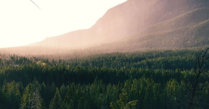 TMJ (jaw pain) Massage Therapy